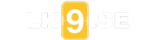 Lk9.se
